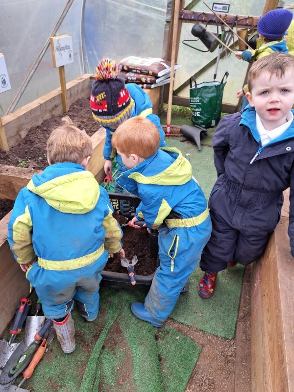 Planting in the polytunnel