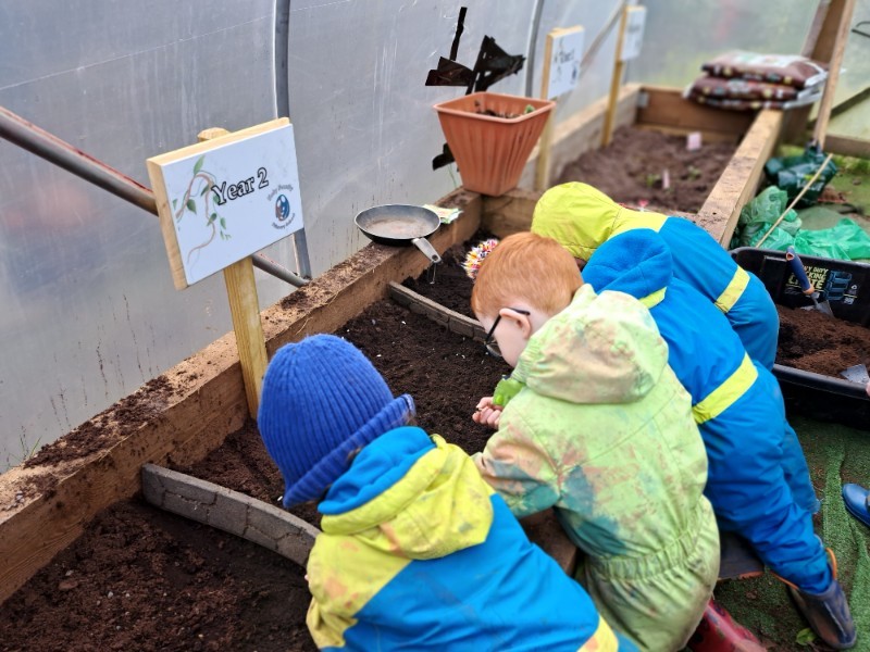 Planting in the polytunnel