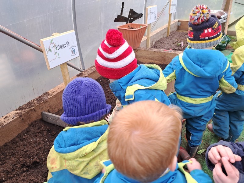 Planting in the polytunnel