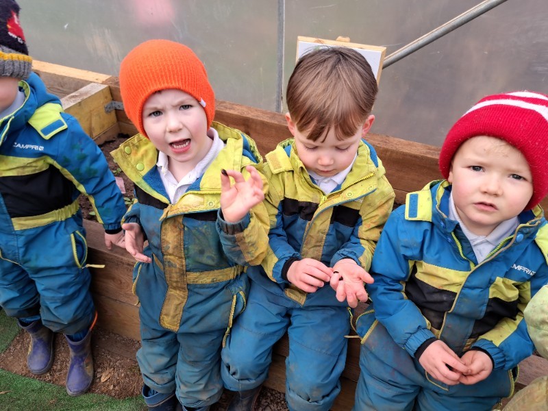 Planting in the polytunnel
