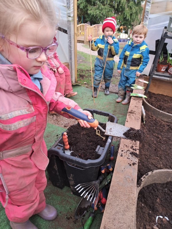 Planting in the polytunnel