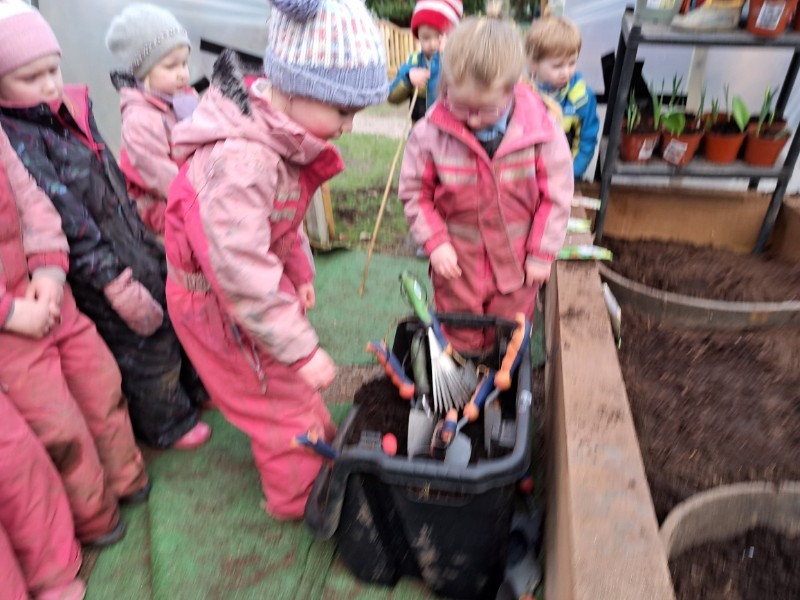 Planting in the polytunnel