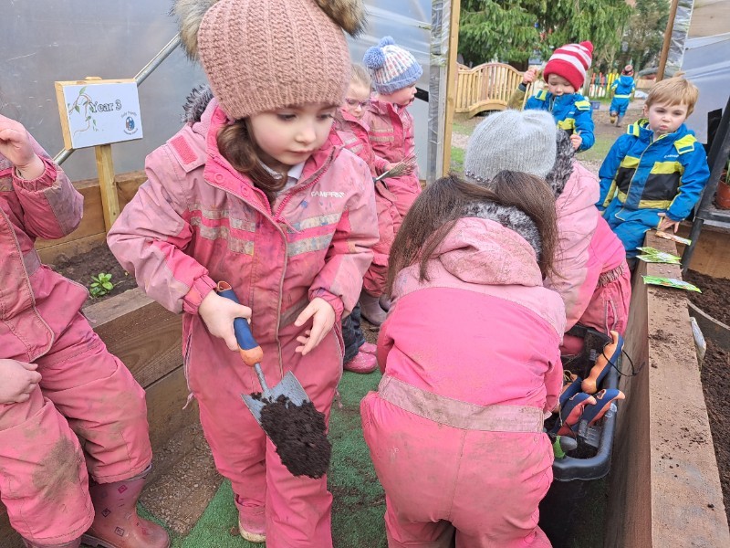 Planting in the polytunnel