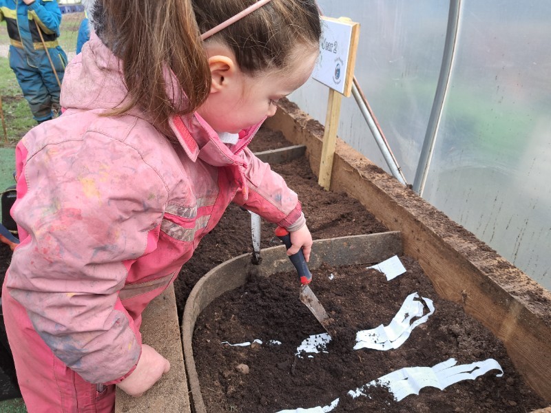 Planting in the polytunnel