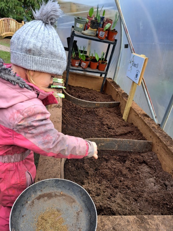 Planting in the polytunnel