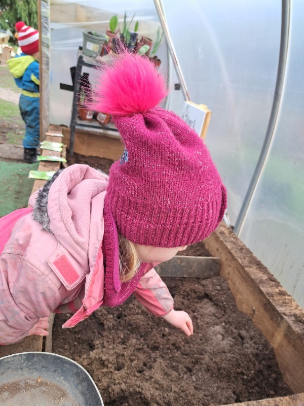 Planting in the polytunnel