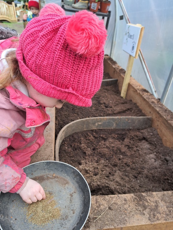 Planting in the polytunnel