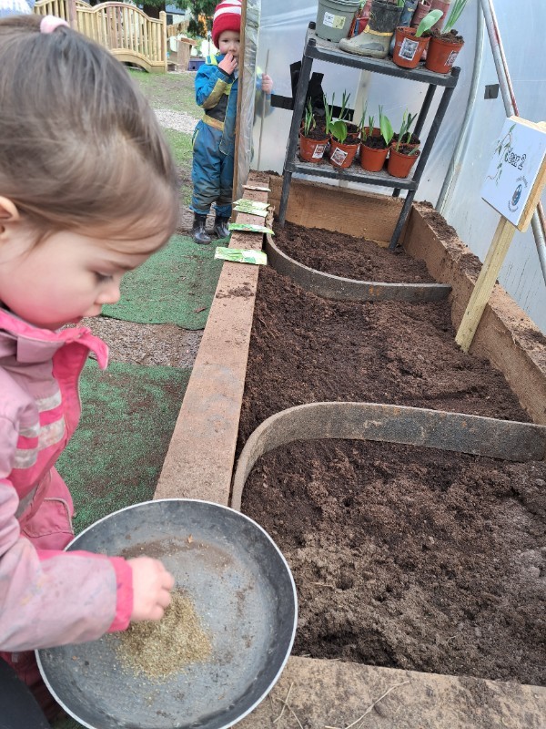 Planting in the polytunnel