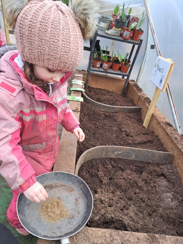 Planting in the polytunnel