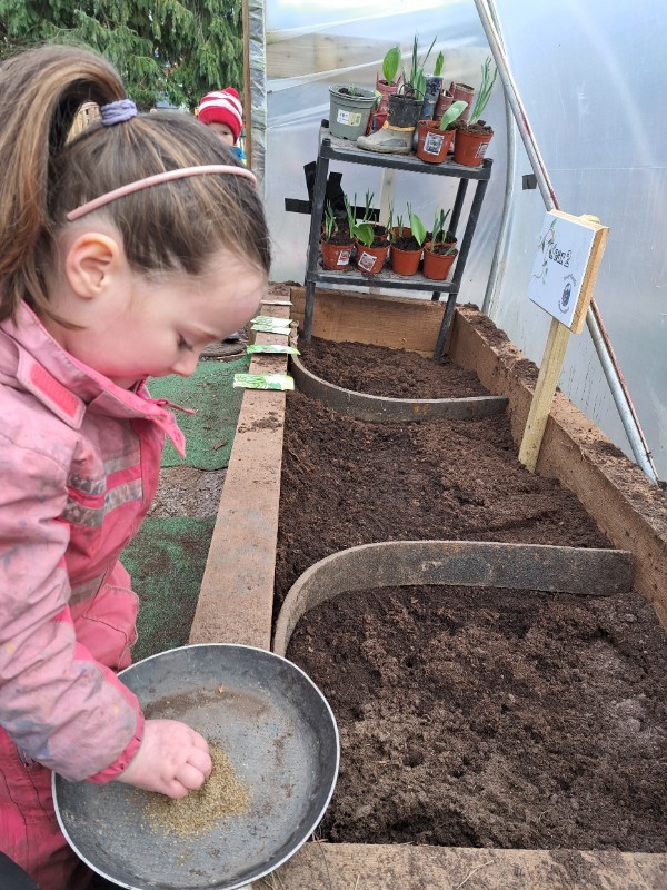 Planting in the polytunnel