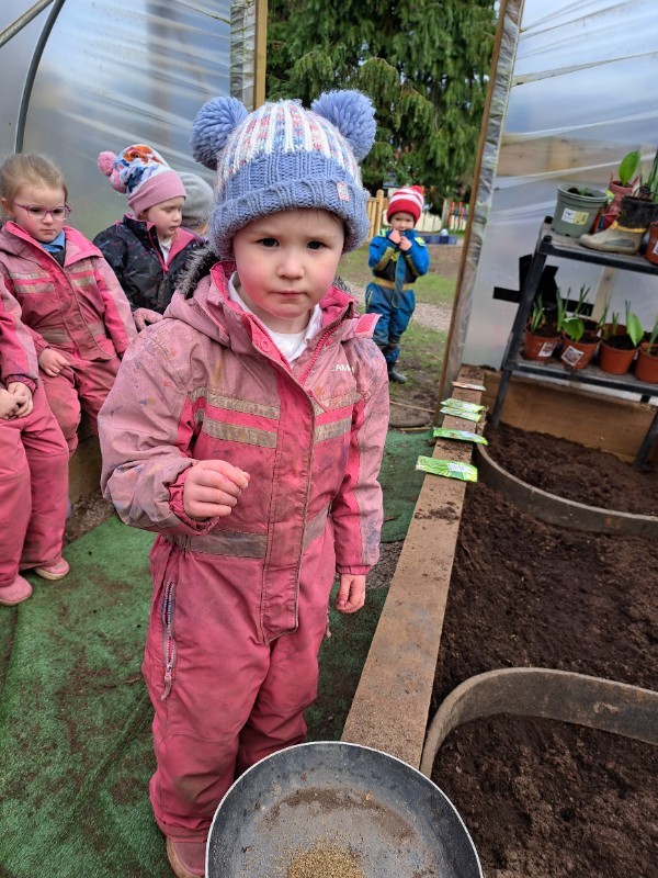 Planting in the polytunnel