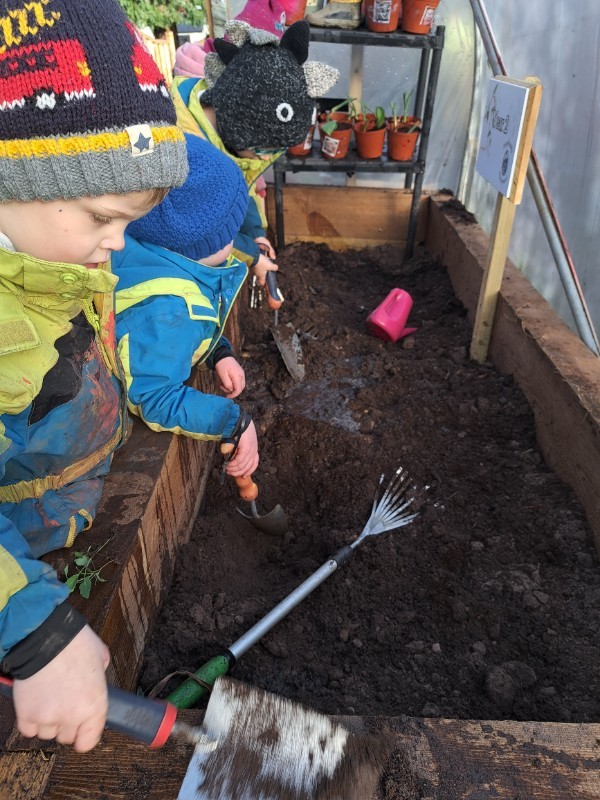 Our polytunnel