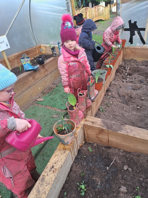 Our bulbs are growing