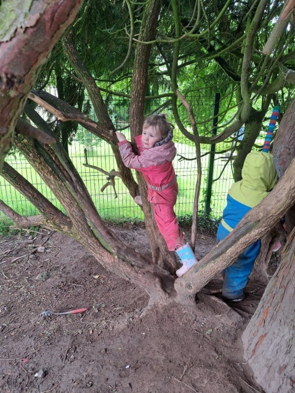 climbing