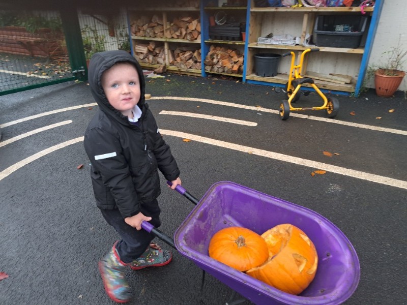 Our first pumpkin!