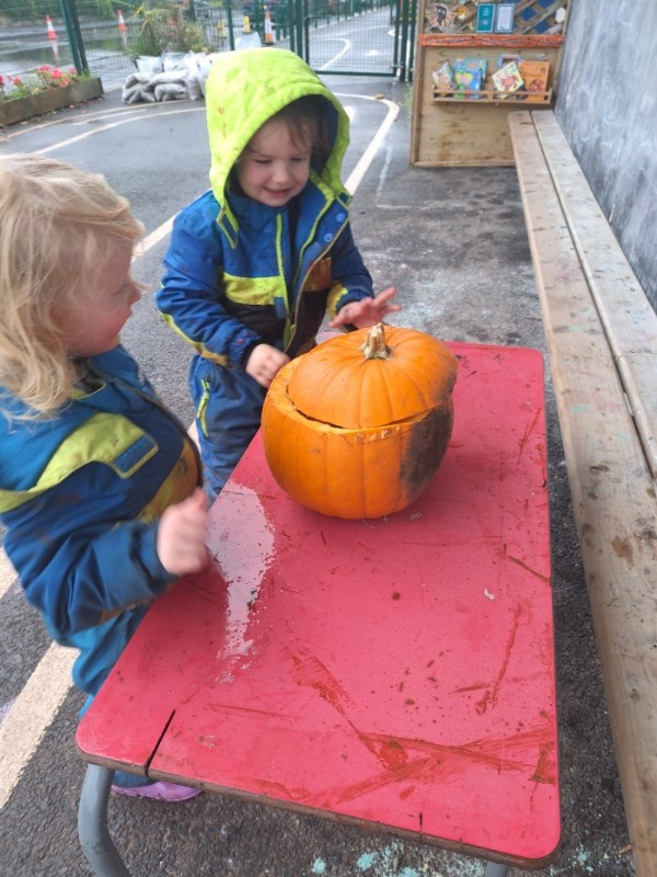 Our first pumpkin!