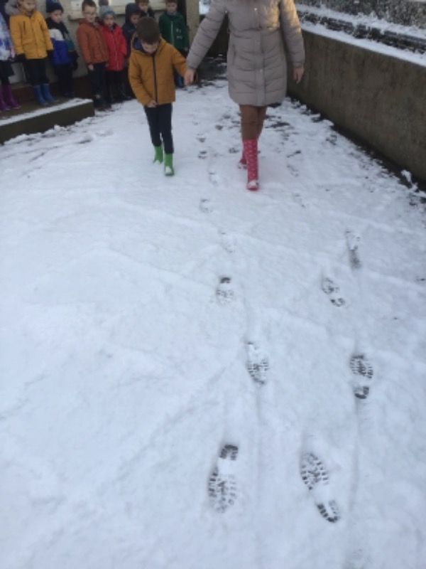 We looked at our footprints. 