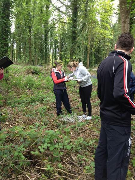 Year 13 Biology Trip to Gosford Park