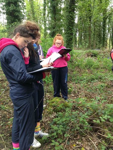 Year 13 Biology Trip to Gosford Park