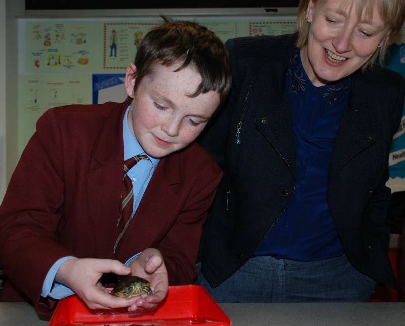 Gerry The Terrapin