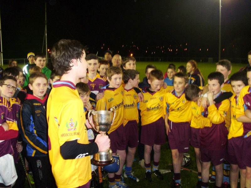 McGreevy Cup Champions 2013
