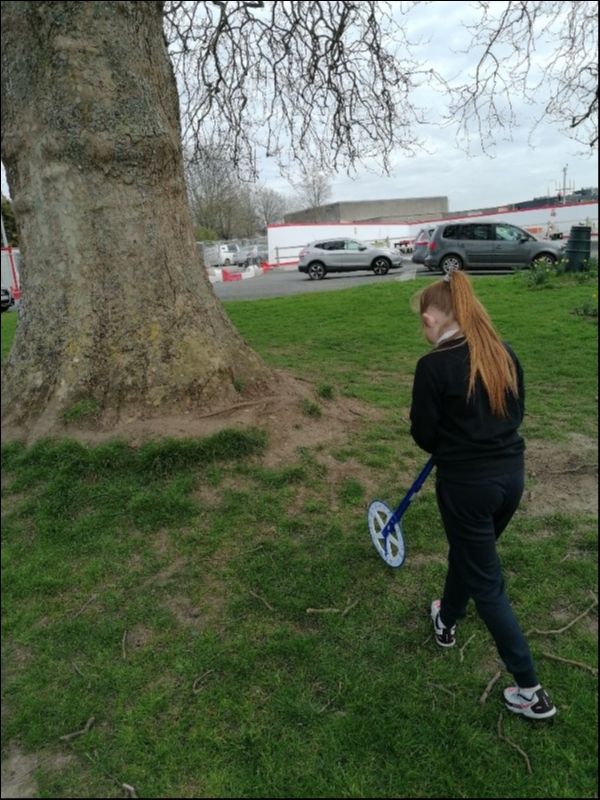 Measuring the distance to the tree