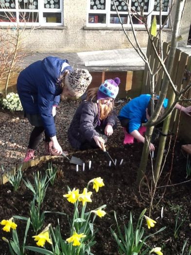 Our School Garden! by Rick Swann