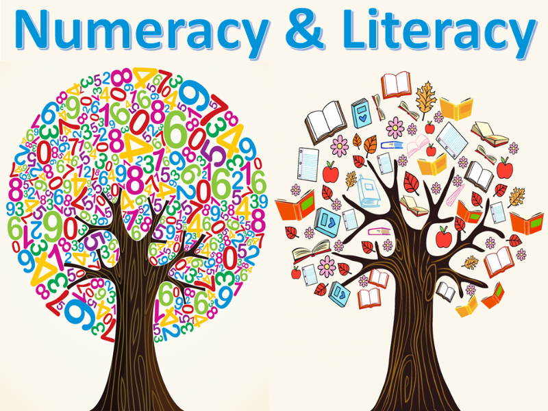 Learn link. Literacy картинки. Numeracy and Literacy. Lifelong Learning векторные картинки. Protean Literacy.