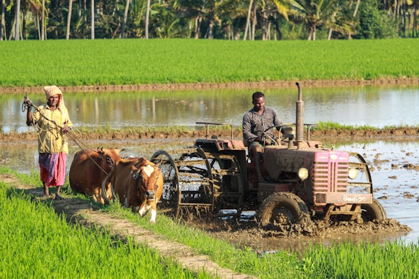 Farmer using FarmX app in agricultural field
