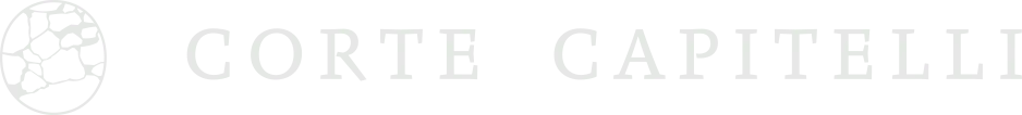 logo_negative.webp null