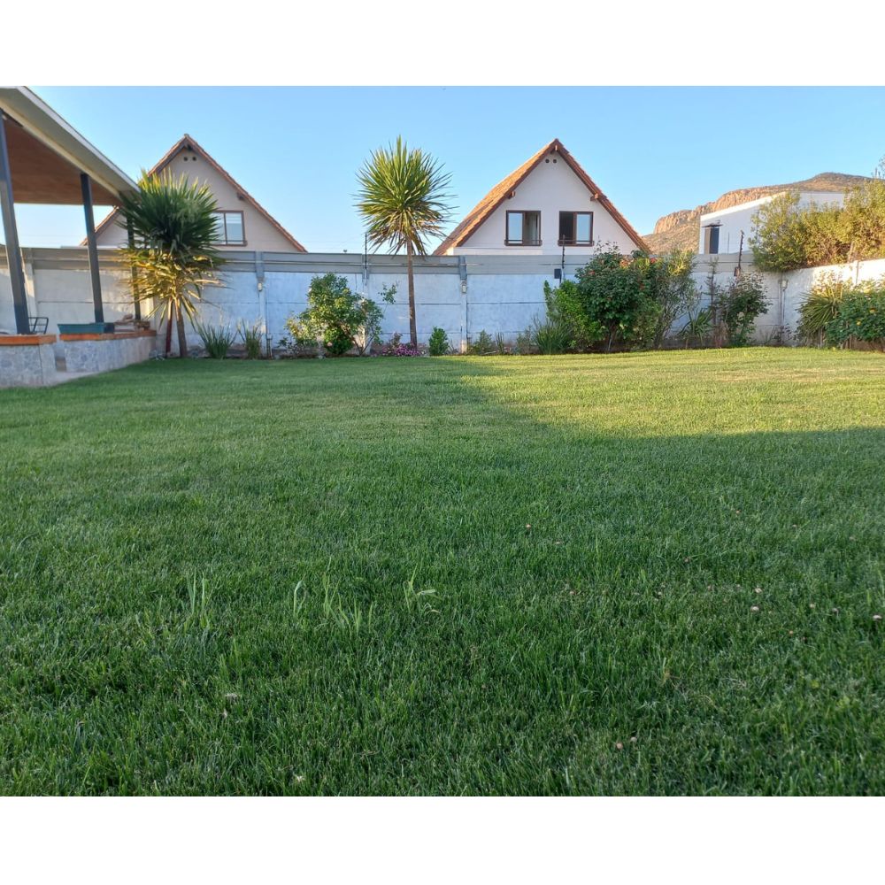 Diseño y construcción de areas verdes y jardines