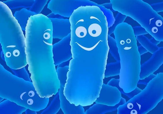 Probiotics and Depression