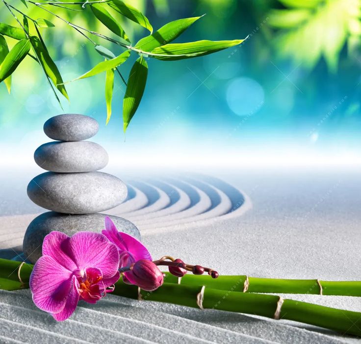 Feng Shui for Health and Wellness
