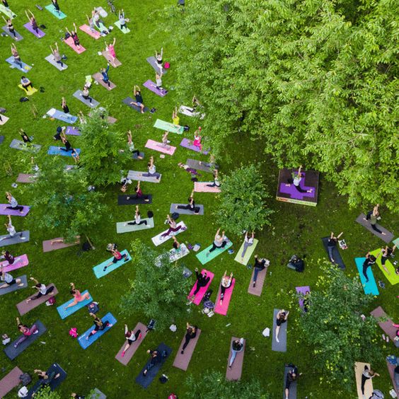 Finding Support in Online Wellness Communities