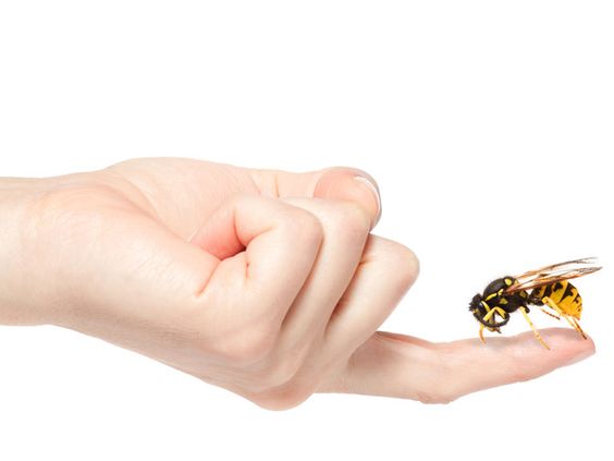 Preventing and Treating Insect Bites
