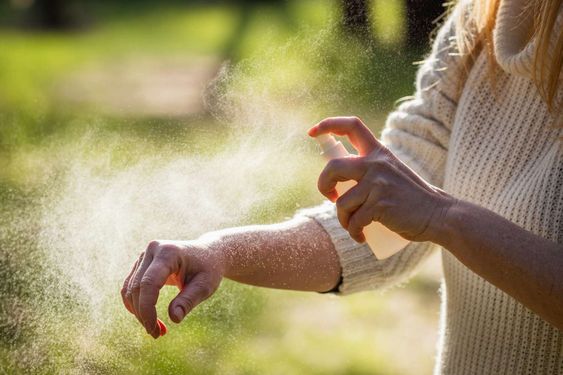 Quick Remedies for Mosquito Bites