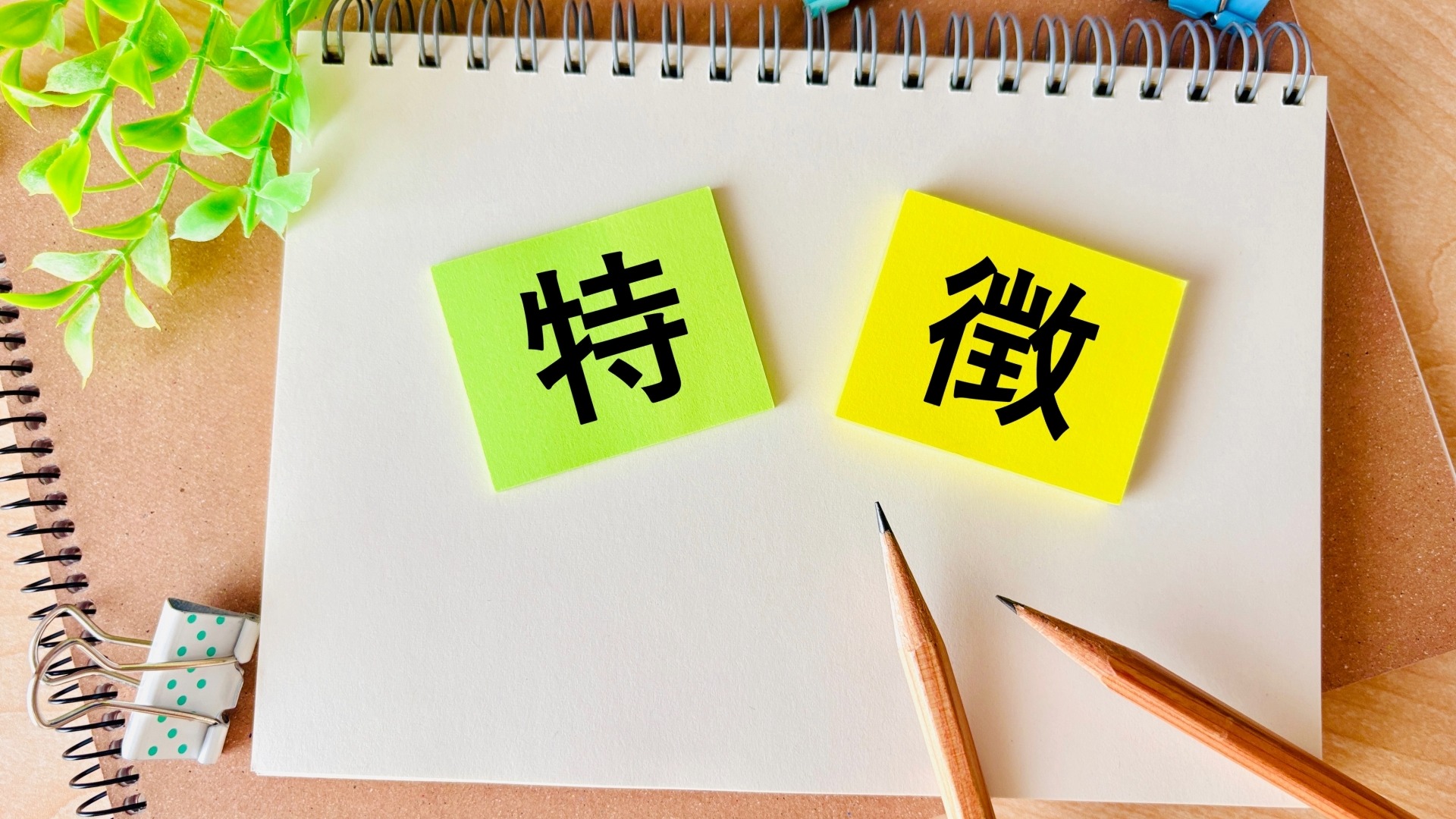 他のユーザー調査手法とは異なる、ヒューリスティック分析ならではの独自の特徴を解説。