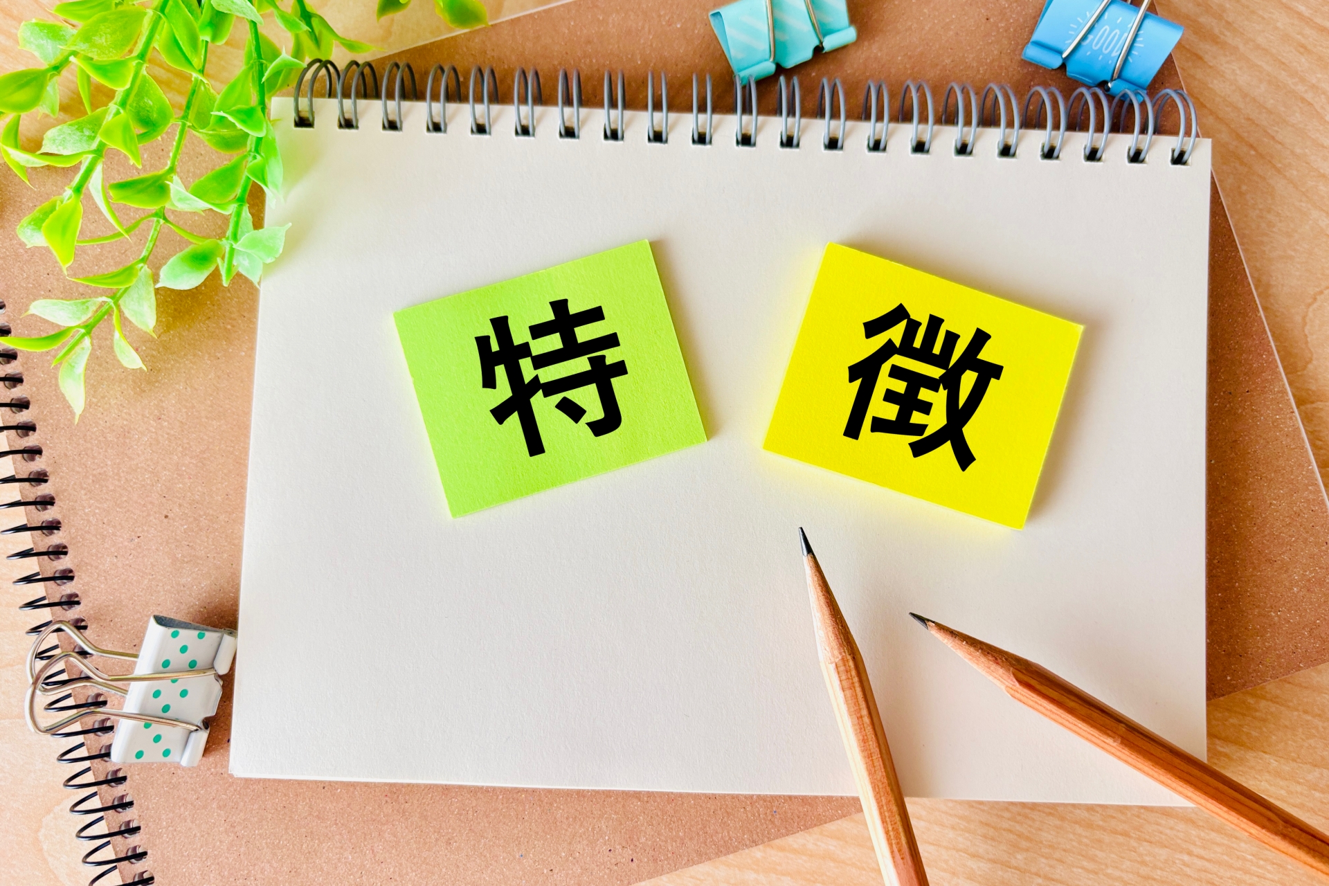 他のユーザー調査手法とは異なる、ヒューリスティック分析ならではの独自の特徴を解説。