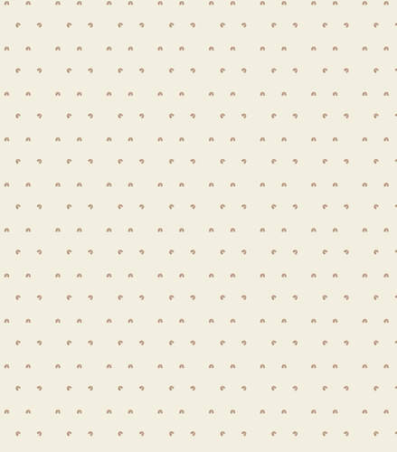 נחשוש RAINBOW קשתות NINO נינו