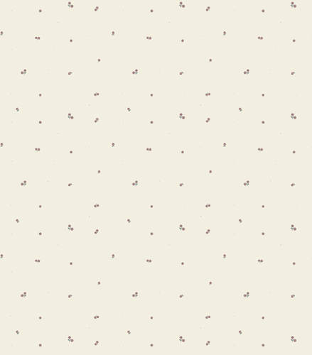 נחשוש BLUEBERRY בלוברי NINO נינו