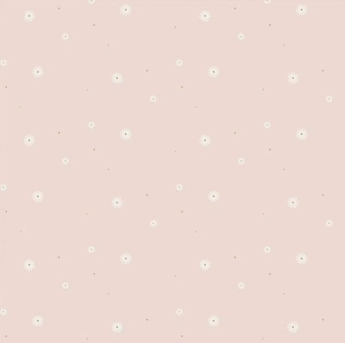 צף קל דייזי NINO נינו