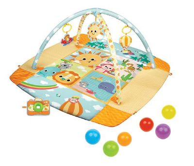 אוניברסיטאה ומשטח פעילות מגודר winfun