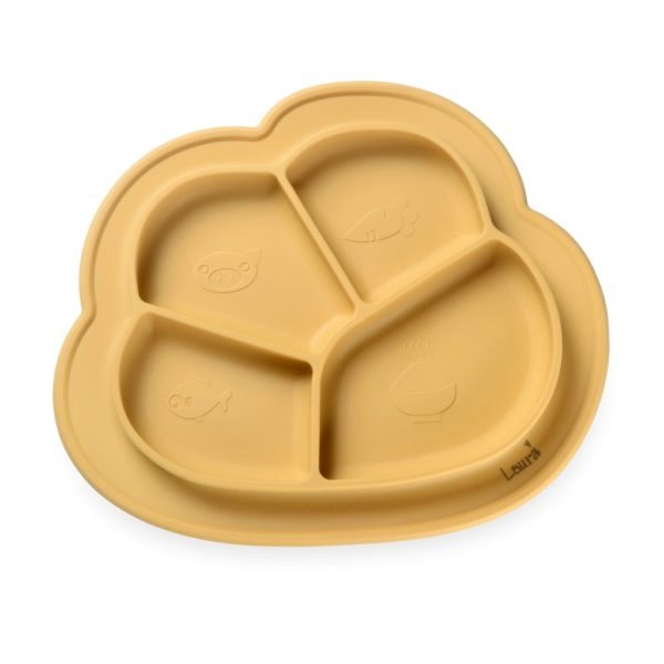 צלחת ענן מחולקת סיליקון