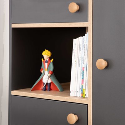 ארון קוסמו 2 דלתות גרפיט