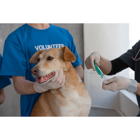 Microchip cani