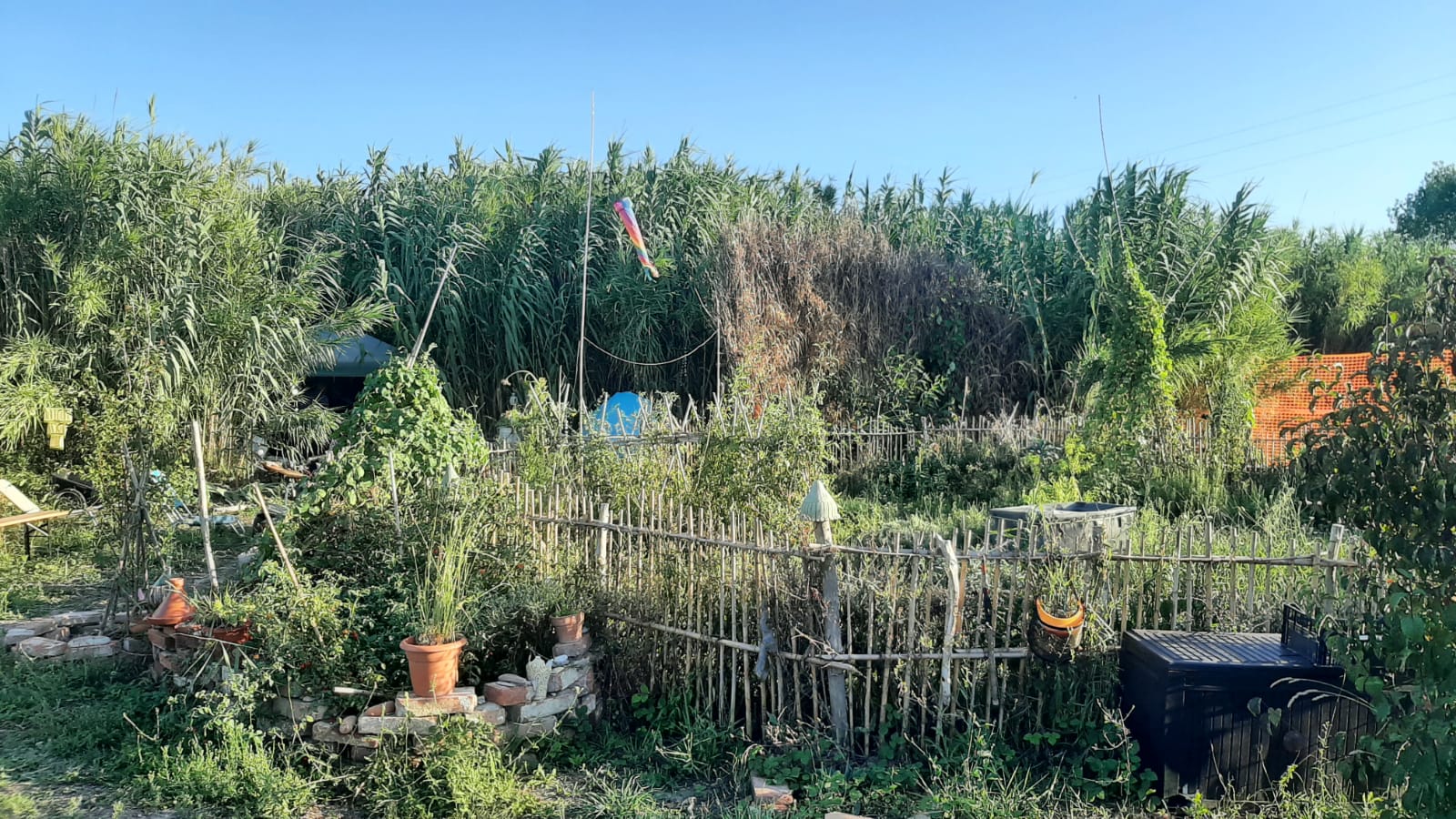 WhatsApp Image 2023-09-18 at 16.54.51.jpeg