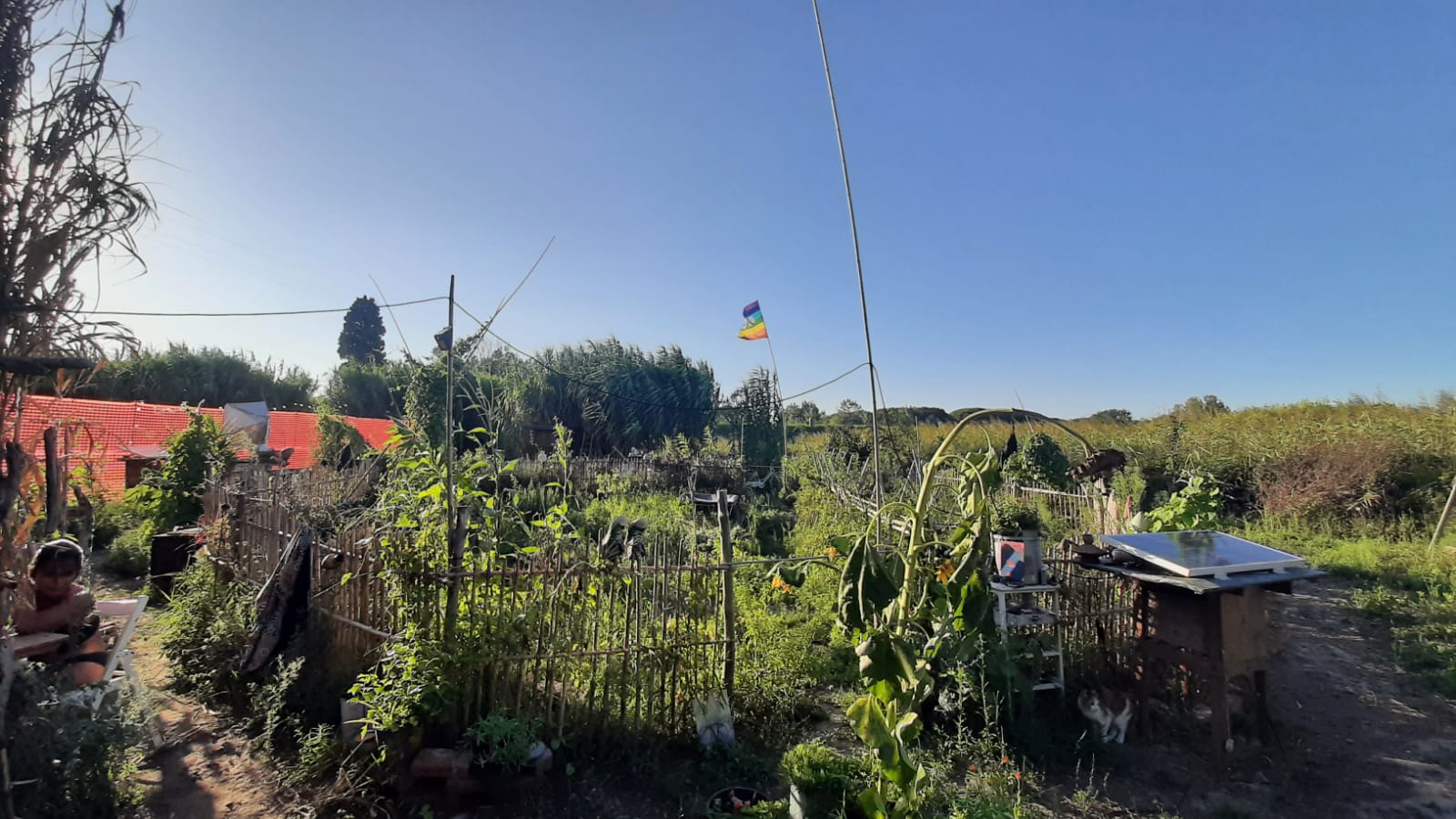 WhatsApp Image 2023-09-18 at 16.54.51 (3).jpeg