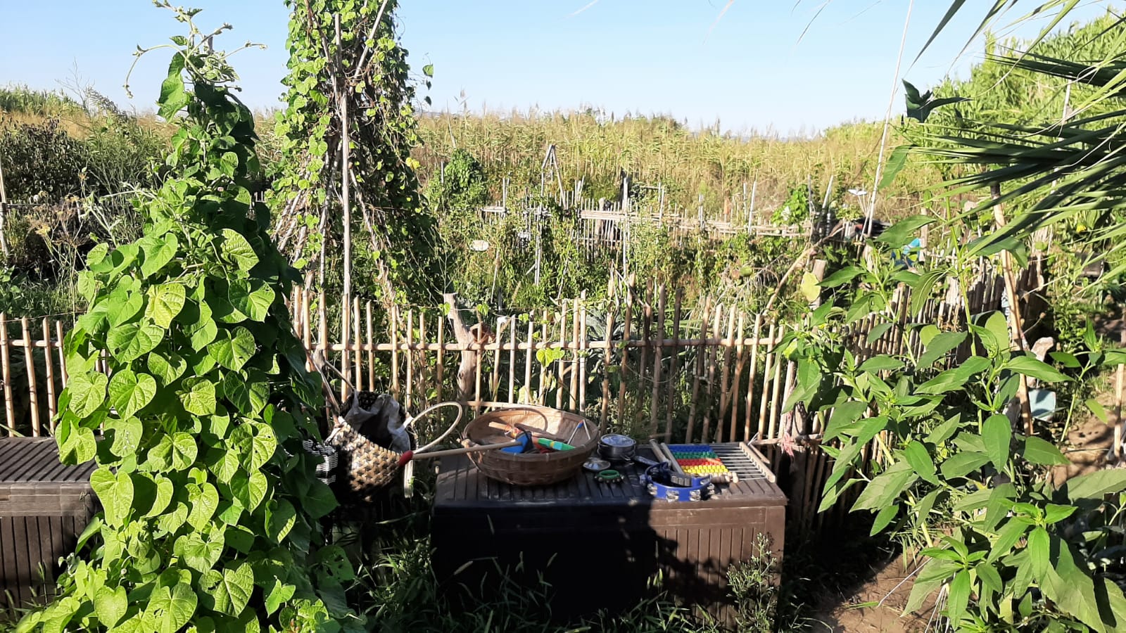 WhatsApp Image 2023-09-18 at 16.54.52.jpeg