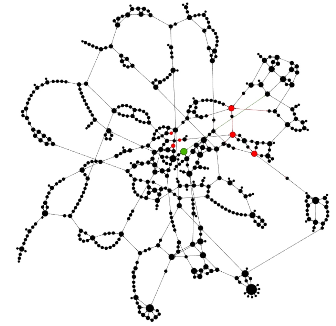 ネットワーク科学 ひと・もの・ことの関係性をデータから解き明かす新しいアプローチ ネットワーク科学 ひと・もの・ことの関係性をデータから