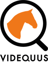 Videquus logo black orange